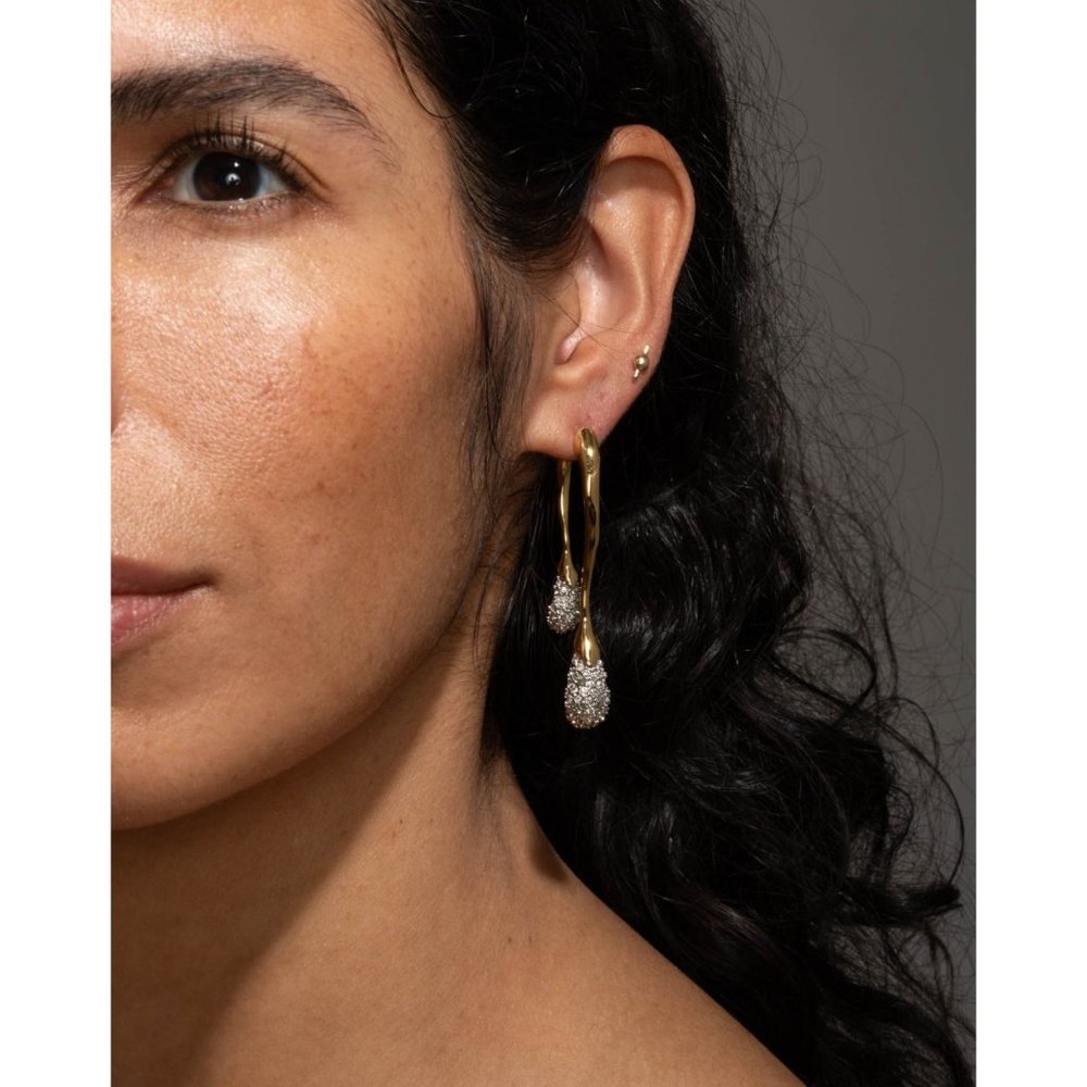 Alexis Bittar Solanales Crystal Front Back Double Drop Earring- Gold-406… - Picture 8 of 13